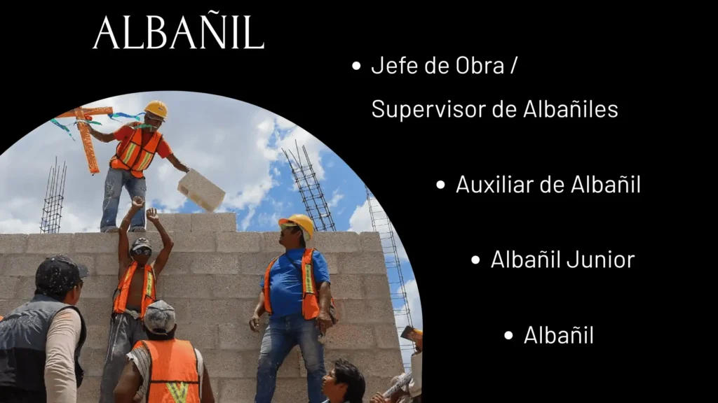 ALBAÑIL (1)
