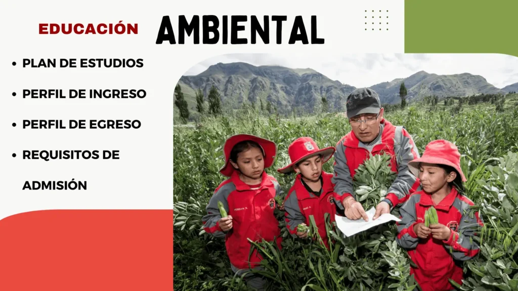 EDUCACION AMBIENTAL